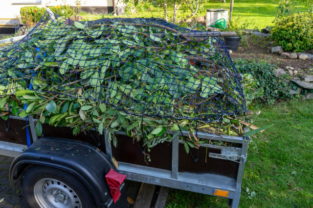 Reliable Harrisburg, IL Junk Removal Services Solutions